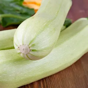 Zucchine-bianche-triestine-fast-fruit-verdura-milano