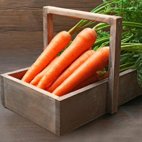 carote-fasftfruit-consegne-verdura-ristoranti.milano