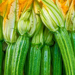 zucchine-fiorentine-fast-fruit-verdura-milano