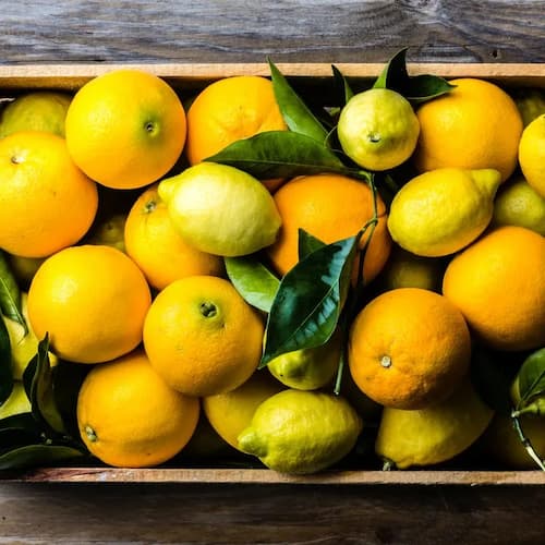 limoni fast fruit verdura consegna milano ristoranti