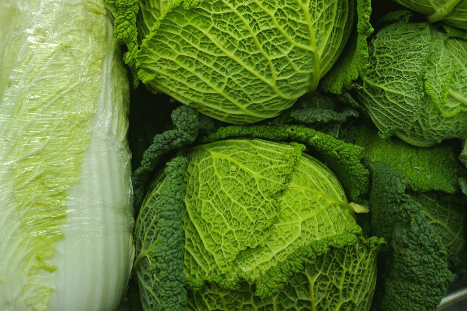 Tipi di verdura verde