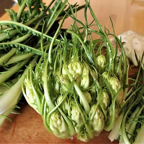 puntarelle-fast-fruit-verdura