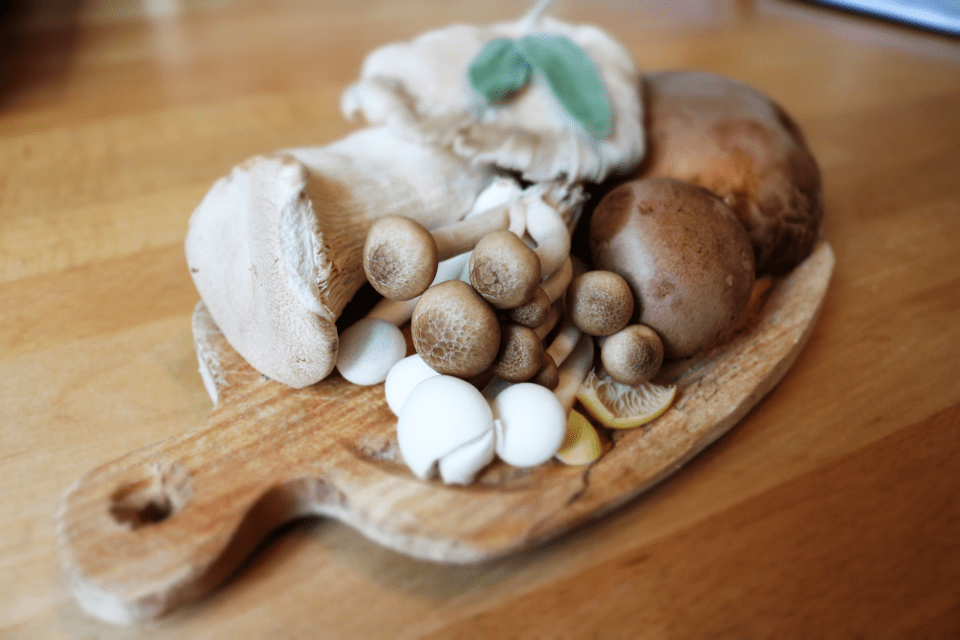 I principali tipi di funghi commestibili