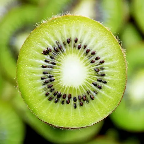 kiwi fastfruit
