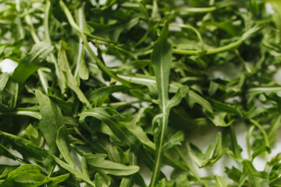 Rucola tutti i benefici e gustose ricette